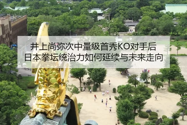 jing-shang-shang-mi-ci-zhong-liang-ji-shou-xiu-dui-shou-hou-ri-ben-quan-tan-tong-zhi-li-ru-he-yan-xu-yu-wei-lai-zou-2-114.jpg