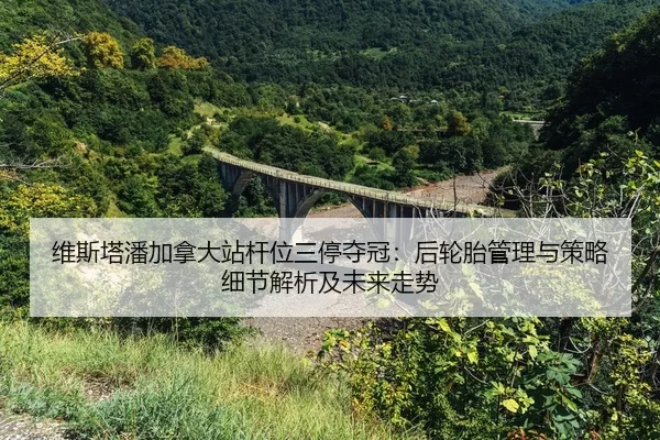 wei-si-ta-pan-jia-na-da-zhan-gan-wei-san-ting-duo-guan-hou-lun-tai-guan-li-yu-ce-lve-xi-jie-jie-xi-ji-wei-lai-zou-shi-2-735.jpg